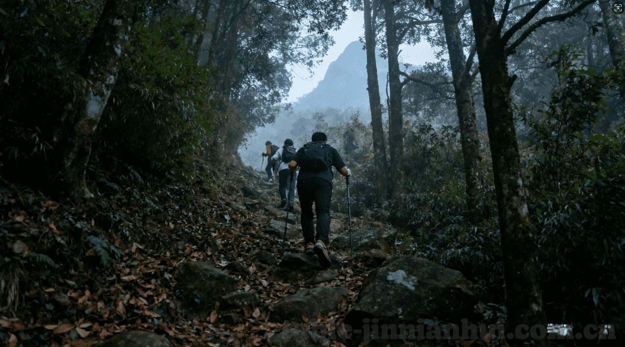 世界杯竞猜软件简介-世界杯竞猜软件，智能预测，点燃激情